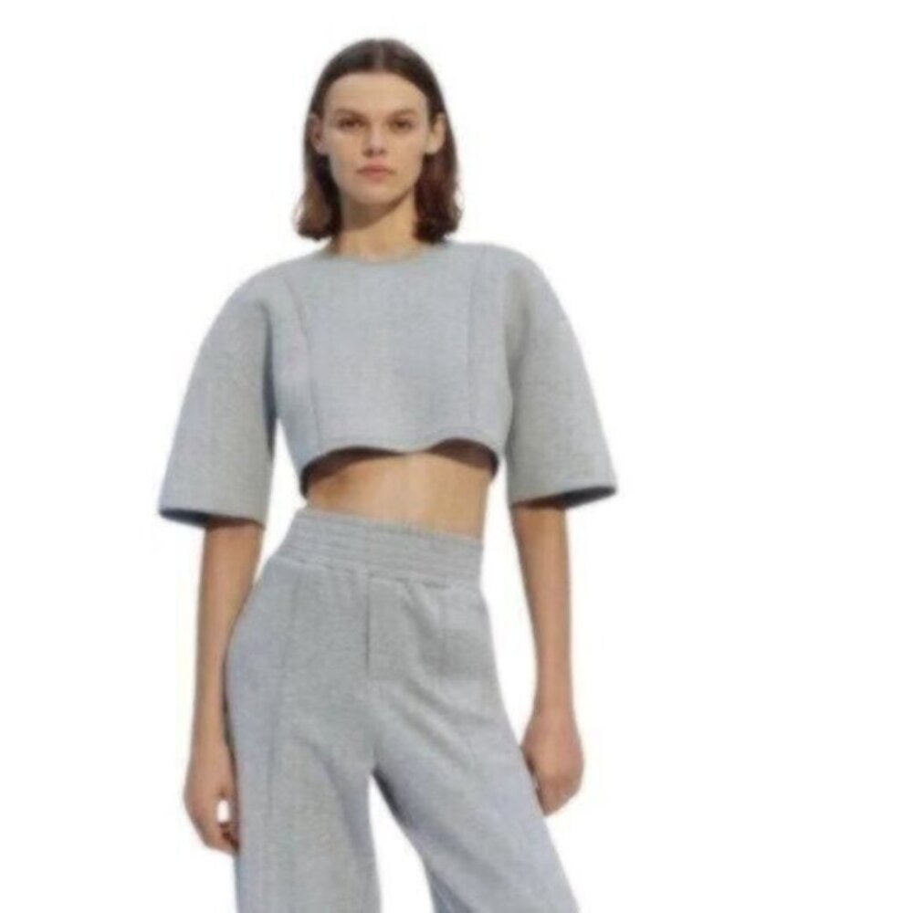 NWT Zara Light Grey Neoprene Cropped Crew Neck Top Small